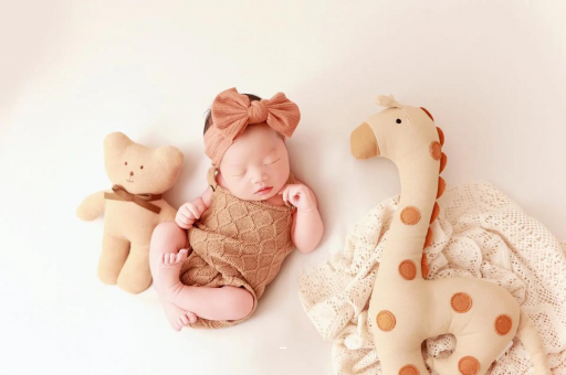 包生男孩正规公司宝宝虾的做法 包生男孩正规公司宝宝虾的做法