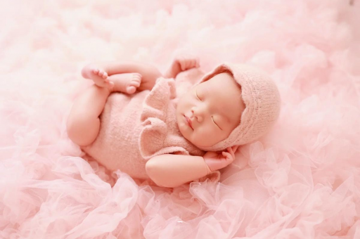 包生男孩正规公司8个月宝宝辅食